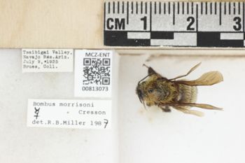 Media type: image;   Entomology 813073 Aspect: labels